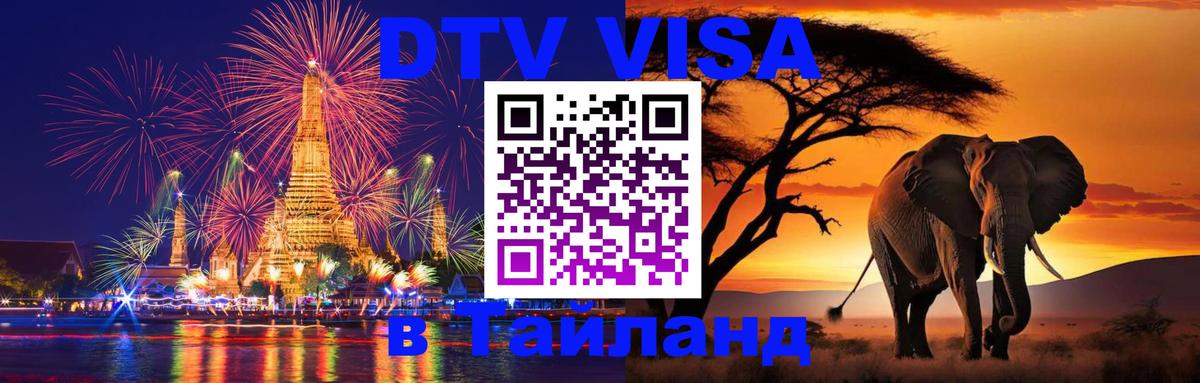 Оформление DTV визы под ключ: стоимость и тарифы, только загранпаспорт - онлайн  06.10.2025 